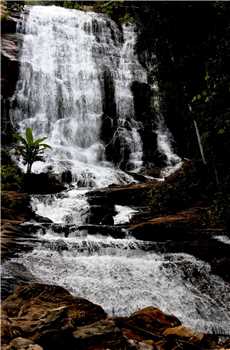 Cachoeira Piripitinga